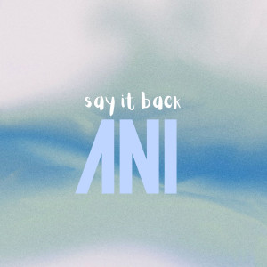 Say It Back dari Ani