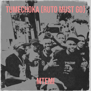 Listen to Tumechoka (Ruto Must Go) song with lyrics from Mtemi