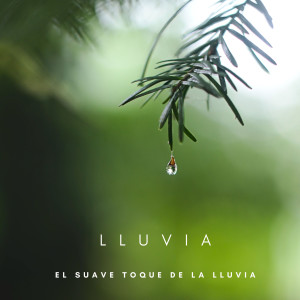 Album Lluvia: El Suave Toque De La Lluvia from Tormentas Naturales