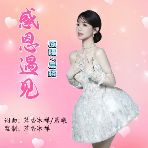 Listen to 感恩遇见 (伴奏) song with lyrics from 晨曦