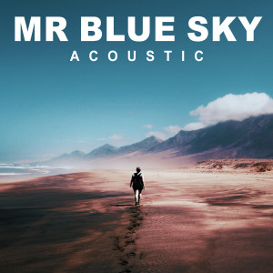 ดาวน์โหลดและฟังเพลง Mr Blue Sky (Acoustic) พร้อมเนื้อเพลงจาก Adam Christopher