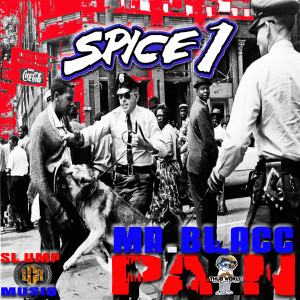 Listen to Pain song with lyrics from Spice 1