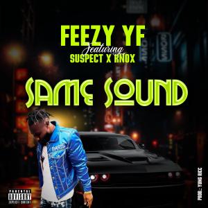 Feezy YF的專輯Same Sound (feat. Suspect & Knox) [Explicit]