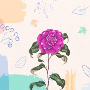 Album Camellia's Just A Flower from Firefly