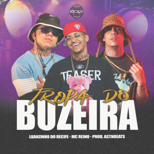 Album TROPA DO BUZEIRA from Luanzinho do Recife