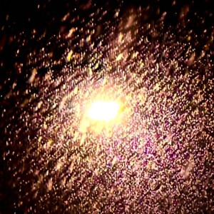 Album Feel Your Heart from guck