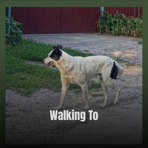 Listen to Tamboura song with lyrics from Jacy Hsen