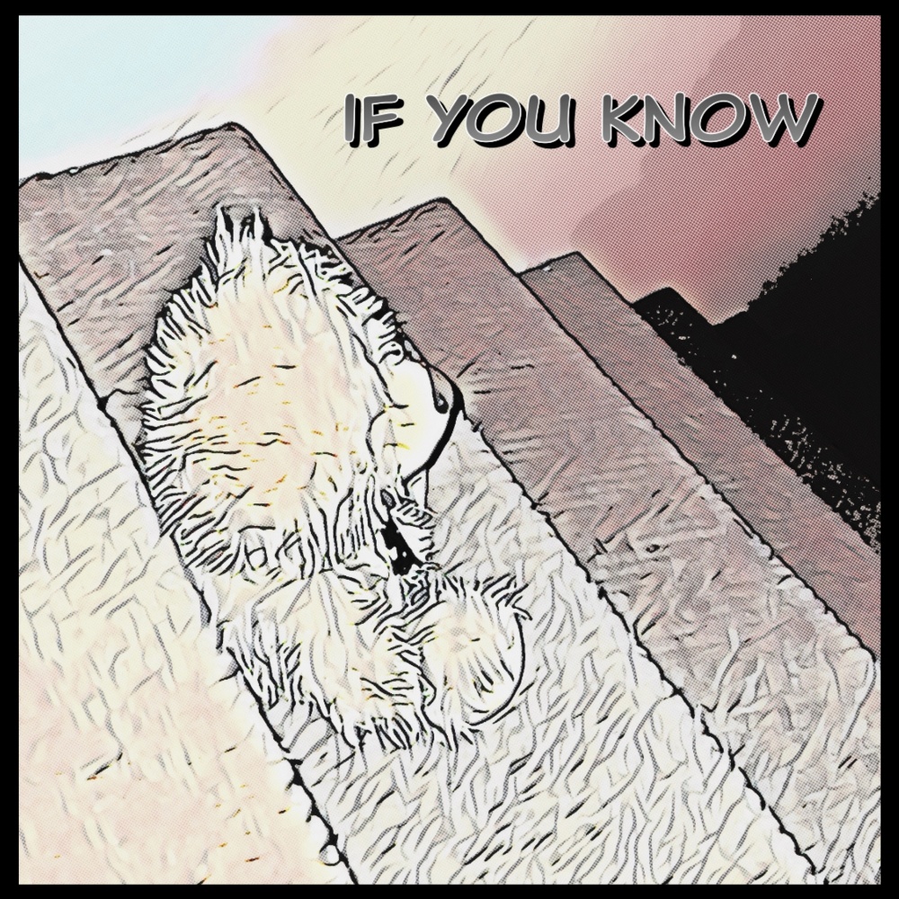 If You Know (Explicit)