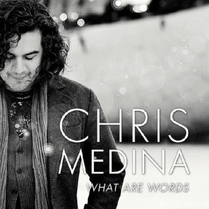 ดาวน์โหลดและฟังเพลง We Can Change The World พร้อมเนื้อเพลงจาก Chris Medina