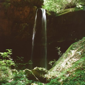 Album Forest Dark from Nailah Hunter