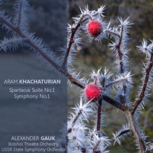 ดาวน์โหลดและฟังเพลง Spartacus Suite No. 2: Adagio of Spartacus and Phrygia พร้อมเนื้อเพลงจาก Bolshoi Theatre Orchestra