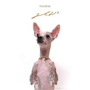 หมา (Dog) dari Pae Arak