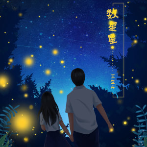 收听王立卉的数星星歌词歌曲