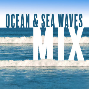 收聽Healing Ocean Waves Zone的Feel Inner Peace歌詞歌曲