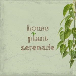 Album houseplant serenade from Mira（欧美）