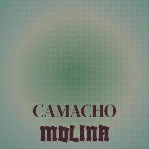 ดาวน์โหลดและฟังเพลง Gallo Banane พร้อมเนื้อเพลงจาก Shino Misir