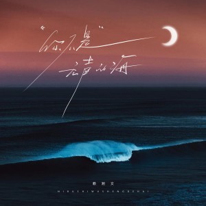 Listen to 你不是无声的海（卡点节奏版） (完整版) song with lyrics from 赖湘文