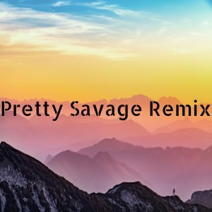 Listen to Pretty Savage Remix song with lyrics from Dj Electro Korea