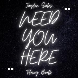 ดาวน์โหลดและฟังเพลง NEED YOU HERE (feat. Jayden Salas) พร้อมเนื้อเพลงจาก Tdawg Beats