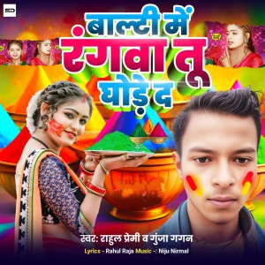 Listen to Balti Me Rangawa Tu Ghore Da song with lyrics from Rahul Premi