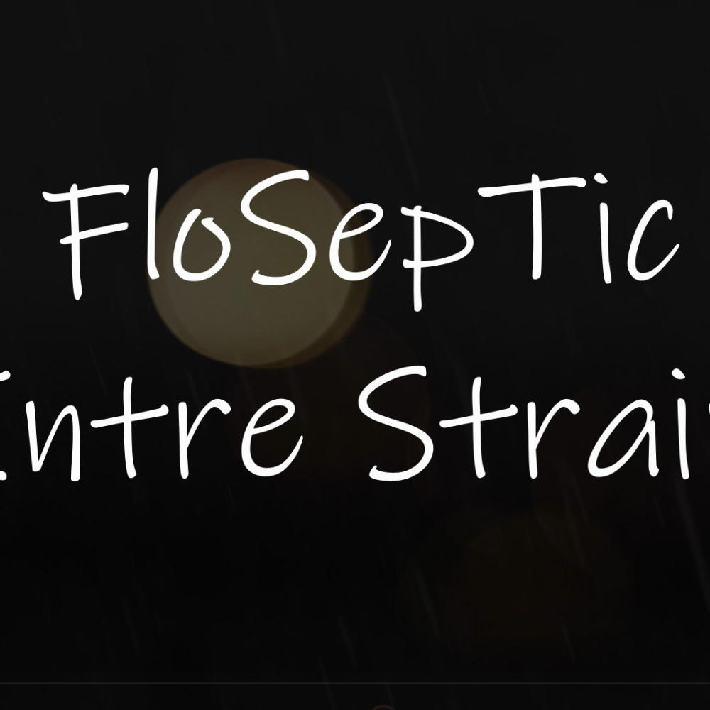 Intre Straini (Explicit)