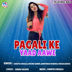 Listen to Jila Siwan Hai Patakiye Ke Dhasi song with lyrics from Vikesh Bihari