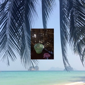 收聽Jonatan Bengta的Hornbill´s Paradise歌詞歌曲