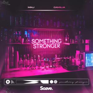 Camilia的專輯Something Stronger