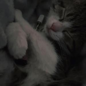 收聽Two Tone的Heaven Gates (Explicit)歌詞歌曲