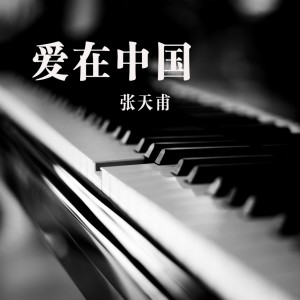 收聽張天甫的我的草原我的阿媽歌詞歌曲