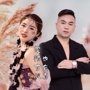 收听杨立果的爱情有假也有真 (伴奏)歌词歌曲