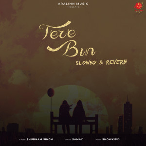 Album Tere Bin Slowed & Reverb from Shubham Singh