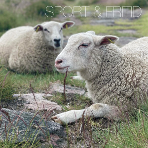 Listen to Det Brenner i Helvete (Explicit) song with lyrics from SPORT
