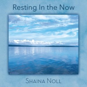 ดาวน์โหลดและฟังเพลง The Spaces in Between พร้อมเนื้อเพลงจาก Shaina Noll
