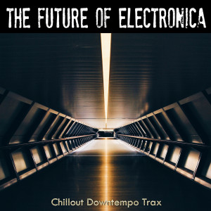 Album The Future Of Electronica oleh Various