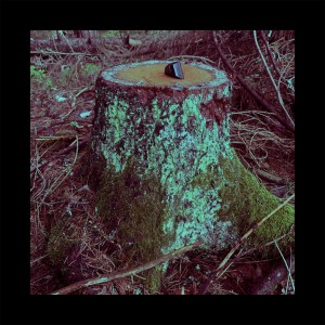 ดาวน์โหลดและฟังเพลง TURMALIN พร้อมเนื้อเพลงจาก ASTRALA