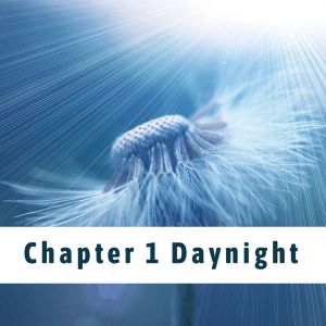 Dreamlike的專輯Chapter 1 Daynight