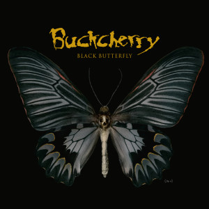 Album Black Butterfly (Explicit) from Buckcherry
