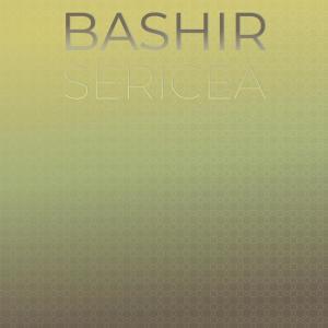 Album Bashir Sericea from Various