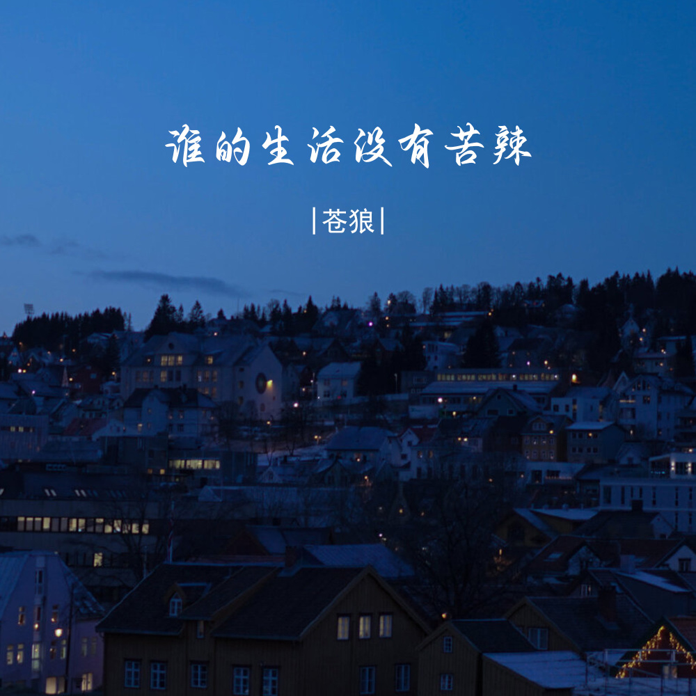 谁的生活没有苦辣 (伴奏)