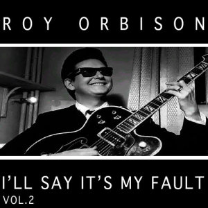 收聽Roy Orbison的I Like Love歌詞歌曲