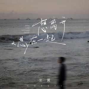 Album 想离开又想在一起 from 龙翼