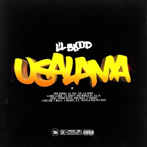 ดาวน์โหลดและฟังเพลง Usalama (Explicit) พร้อมเนื้อเพลงจาก Lil Blood