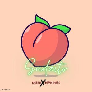 收聽Bigleo的Sudaito (feat. Kevin melo)歌詞歌曲
