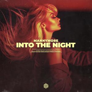 Mannymore的專輯Into the Night