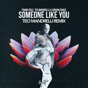 Listen to Someone Like You (TEO MANDRELLI Remix) song with lyrics from Frank Pole