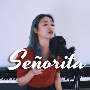 Listen to Señorita song with lyrics from I bare april