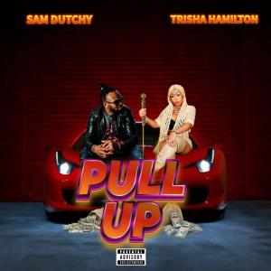 อัลบัม Pull up (Trisha Hamilton Remix) ศิลปิน Sam Dutchy