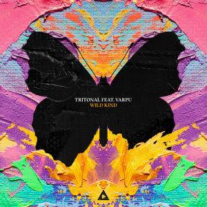 ดาวน์โหลดและฟังเพลง Wild Kind พร้อมเนื้อเพลงจาก Tritonal