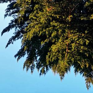 ดาวน์โหลดและฟังเพลง 12.6.22 / 2 พร้อมเนื้อเพลงจาก Nemaier